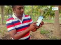 Video Image