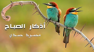 أذكار الصباح  -  محمود حمدي