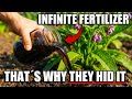 This Plant Creates Infinite Fertilizer — Why Did We Stop Using It?
