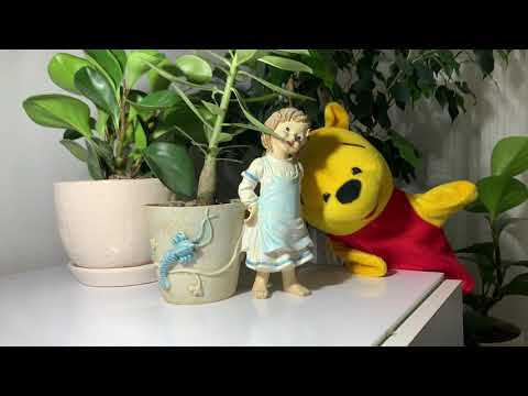 اصطلاح       پول علف خرس نیست که