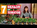 7 ошибок которые нельзя допустить при выращивании рассады томатов!