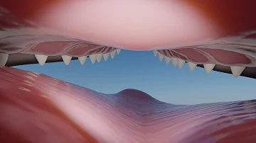 [POV] Eaten by an Orca Drake! [Vore]