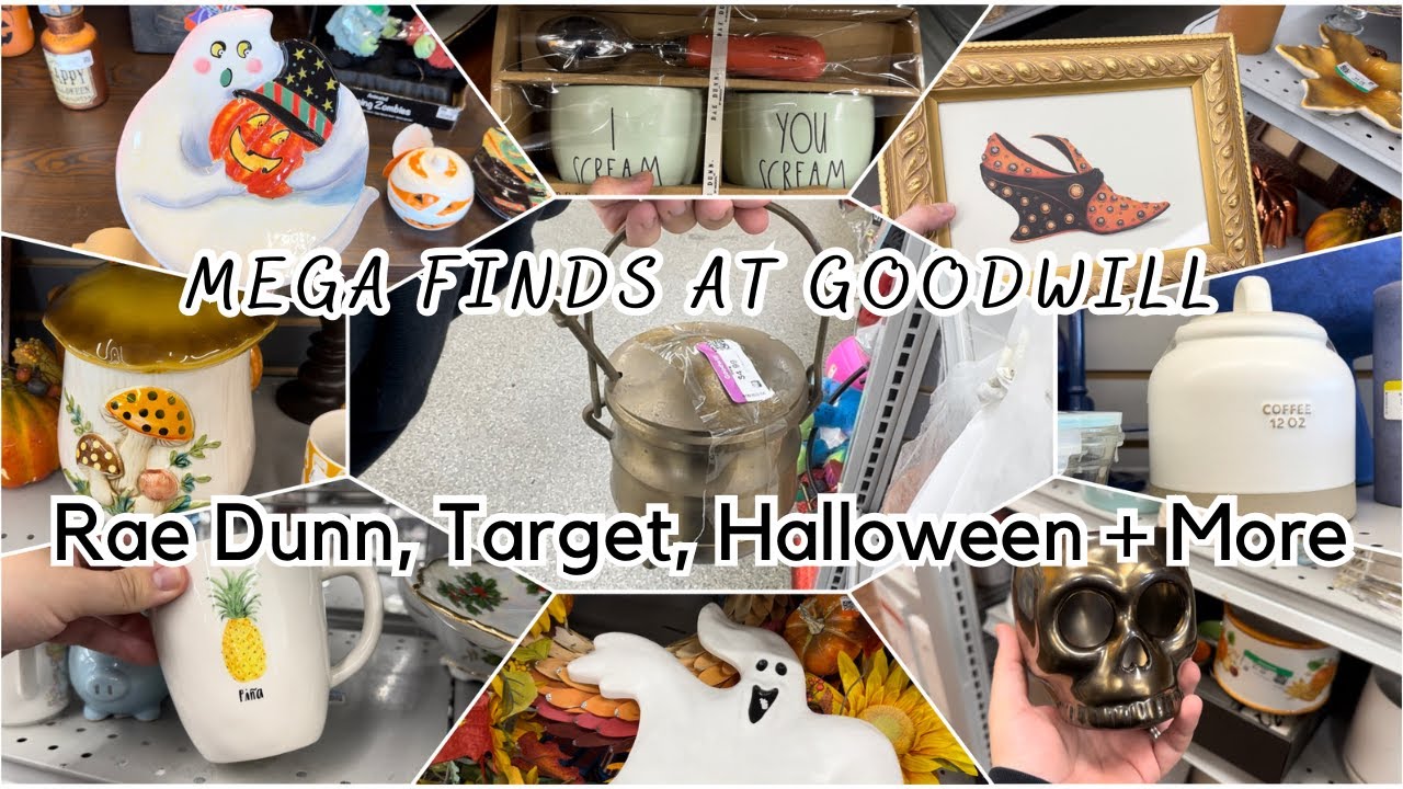 Mega Finds at Goodwill Rae Dunn, Target Halloween + More 