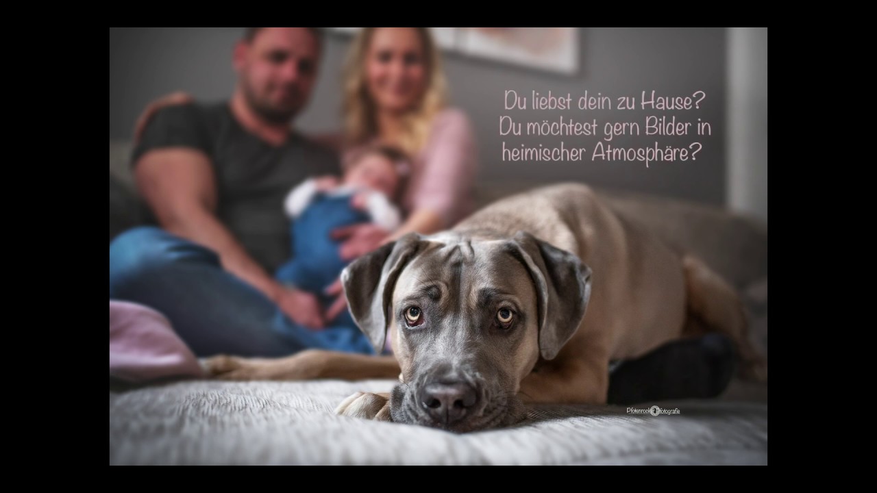 Homeshooting