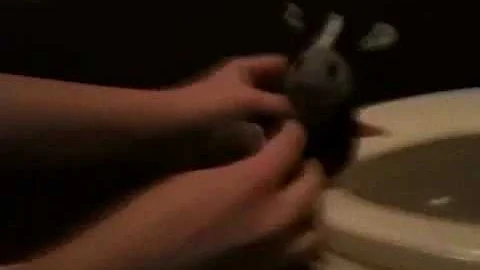 Cowel makes a pie