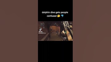 MW2 dolphin dive op
