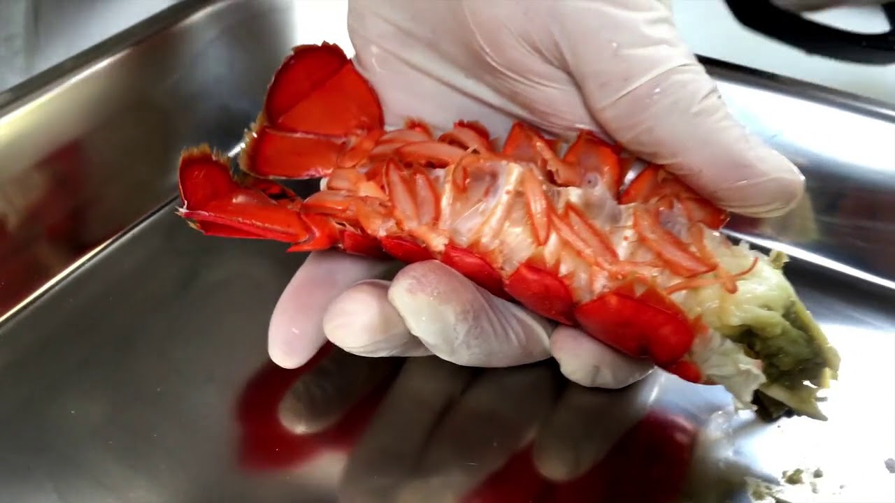 Ciseaux de coupe homard – Ciseaux à homard en acier inoxydable