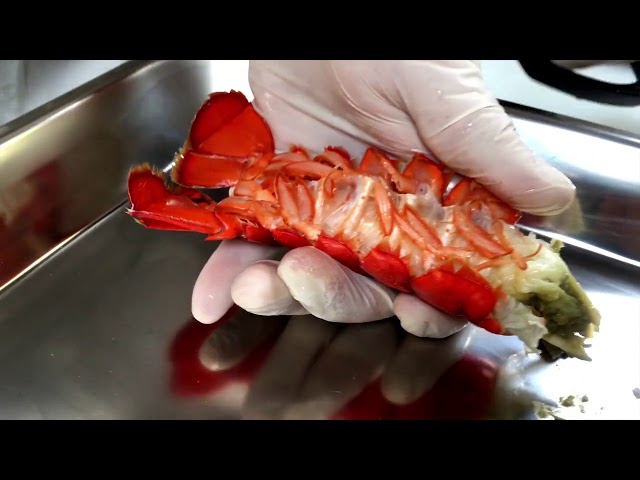 Ciseaux à homard - Ricardo