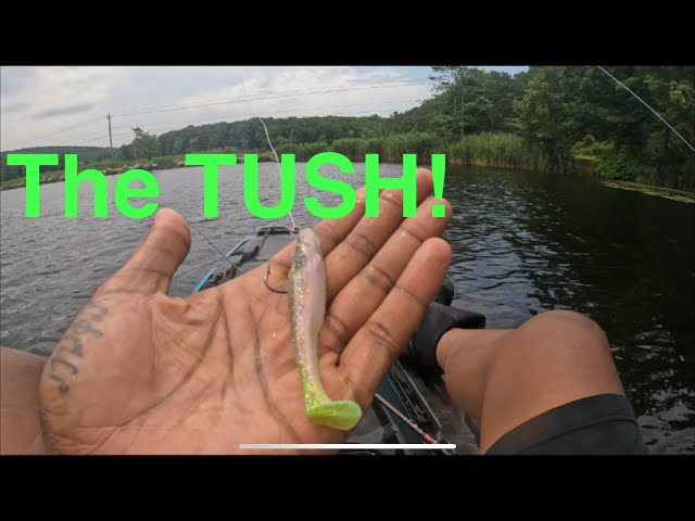 Is @CoreTackleOfficial the TUSH really the best Swimbait hook