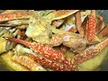 Creamy Spicy Flower Crabs / Ketam Masak Lemak Cili Padi