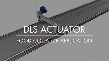 Food Collator Application – DLS Actuator | Animation