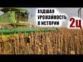 Не все фермеры переживут этот год. Уборка подсолнечника 2020. Урожайность