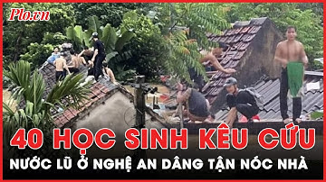 Mưa lũ Nghệ An: Nước lũ dâng ngập nhà, 40 học sinh trèo lên nóc kêu cứu | PLO