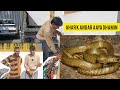 Ghar k andar aaya dhamin || At malapora Ganderbal || 9541619331
