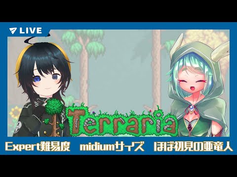 【steam版　Terraria】久々のテラリアを付き添い亜竜人と