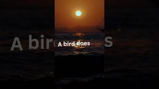 Motivational Quote 5 #quotes #inspirationalquotesandsaying #motivation