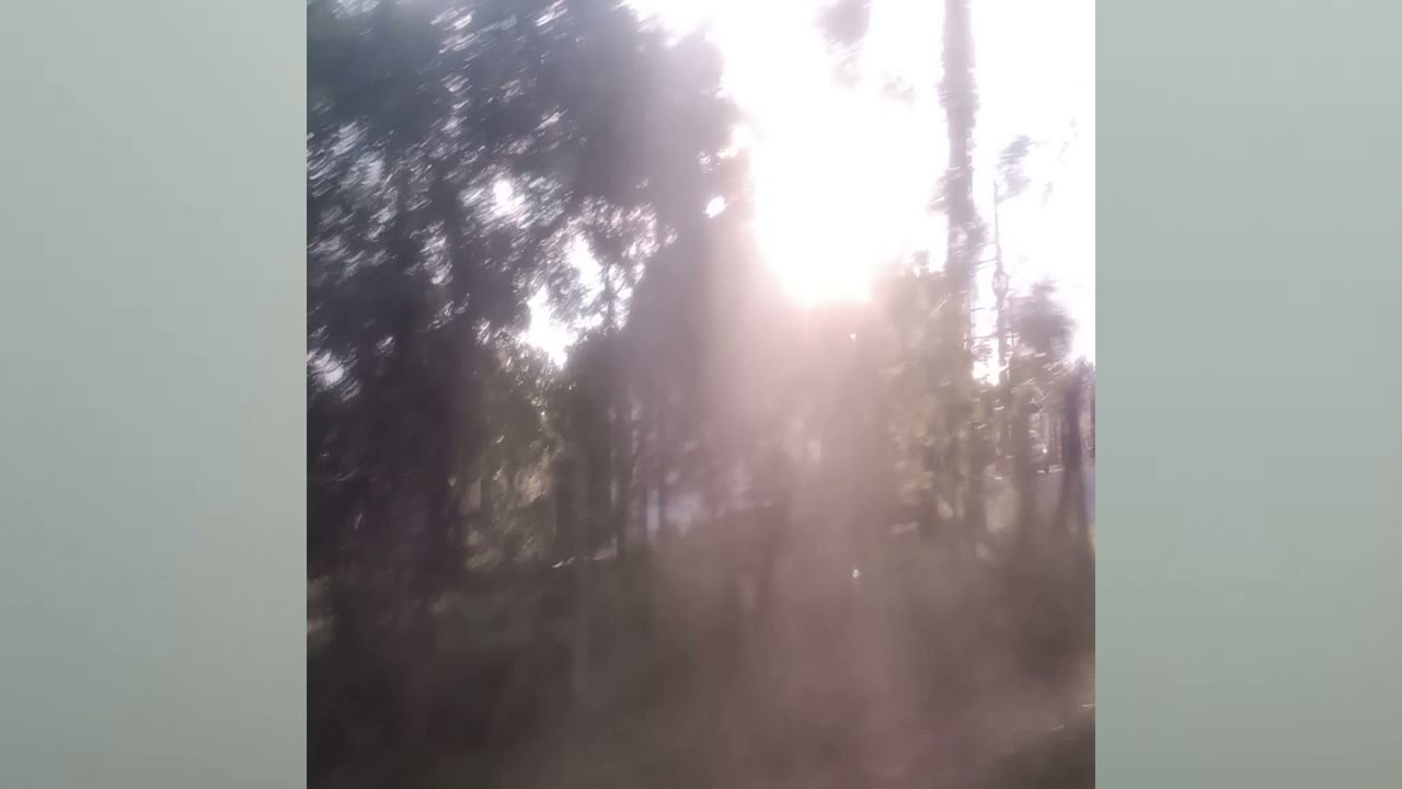 Yarmil - Cicatrización (Audio)