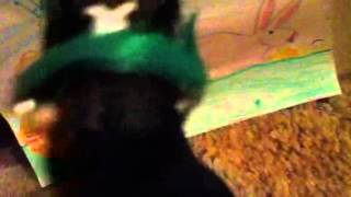 Breyer Easter part 1