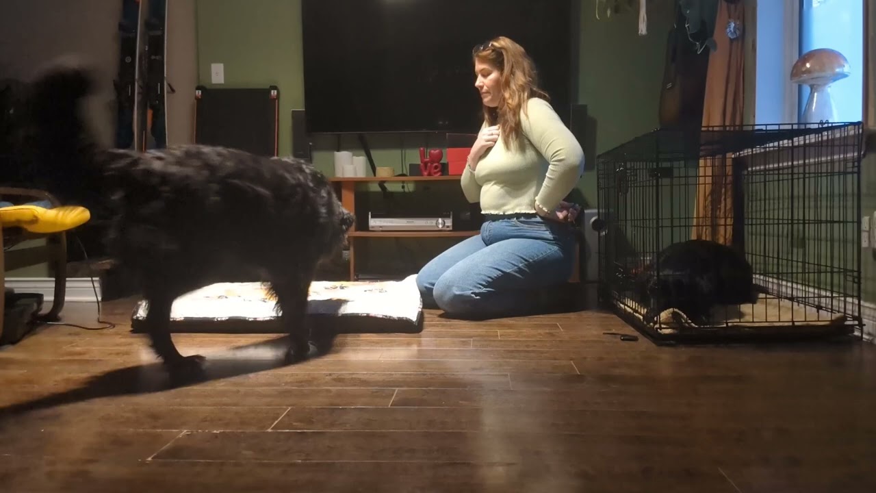 Lesson 16.2 Ashley Reitmaier, Two behavior technical chain, cue 