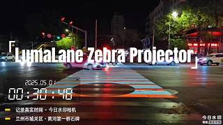 LumaLane Zebra Projection 2