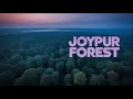 Joypur Forest from Above | Stunning Drone View of West Bengal’s Hidden Green Gem