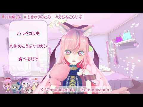 えむねこ -EMUNEKO Channel - YouTube
