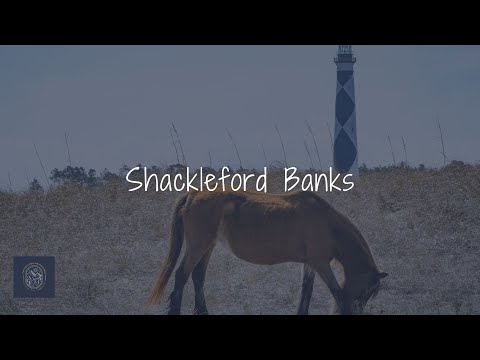 Shackleford Banks -