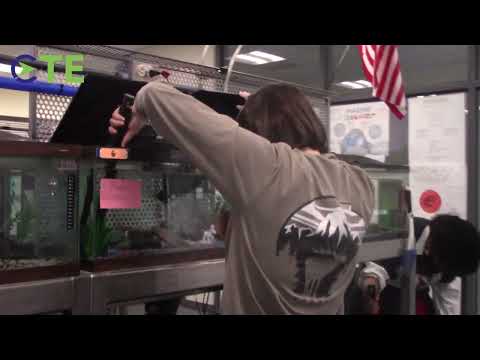 Auburn High School Cte