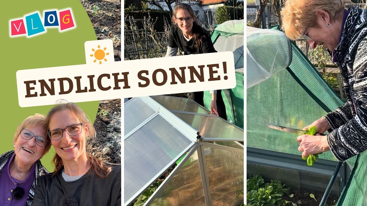 Die ersten sonnigen Märztage im Garten - Garten-Vlog