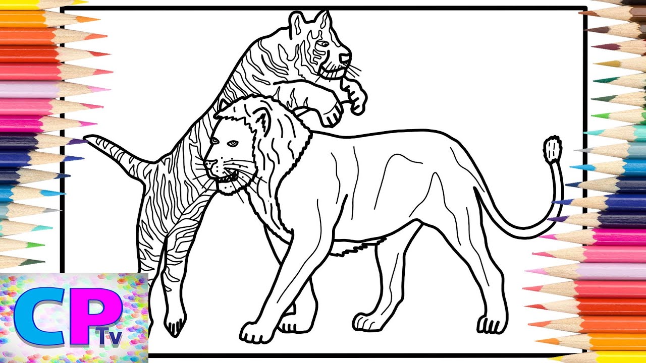 Tiger vs Lion Coloring Pages/Wild Animals/Diviners - Savannah (feat