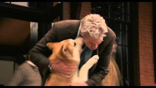 Hachi - A Thousand Years