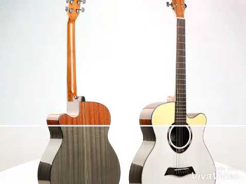 My New Guitar🎸🎸 [Deviser--L2-720A] - YouTube