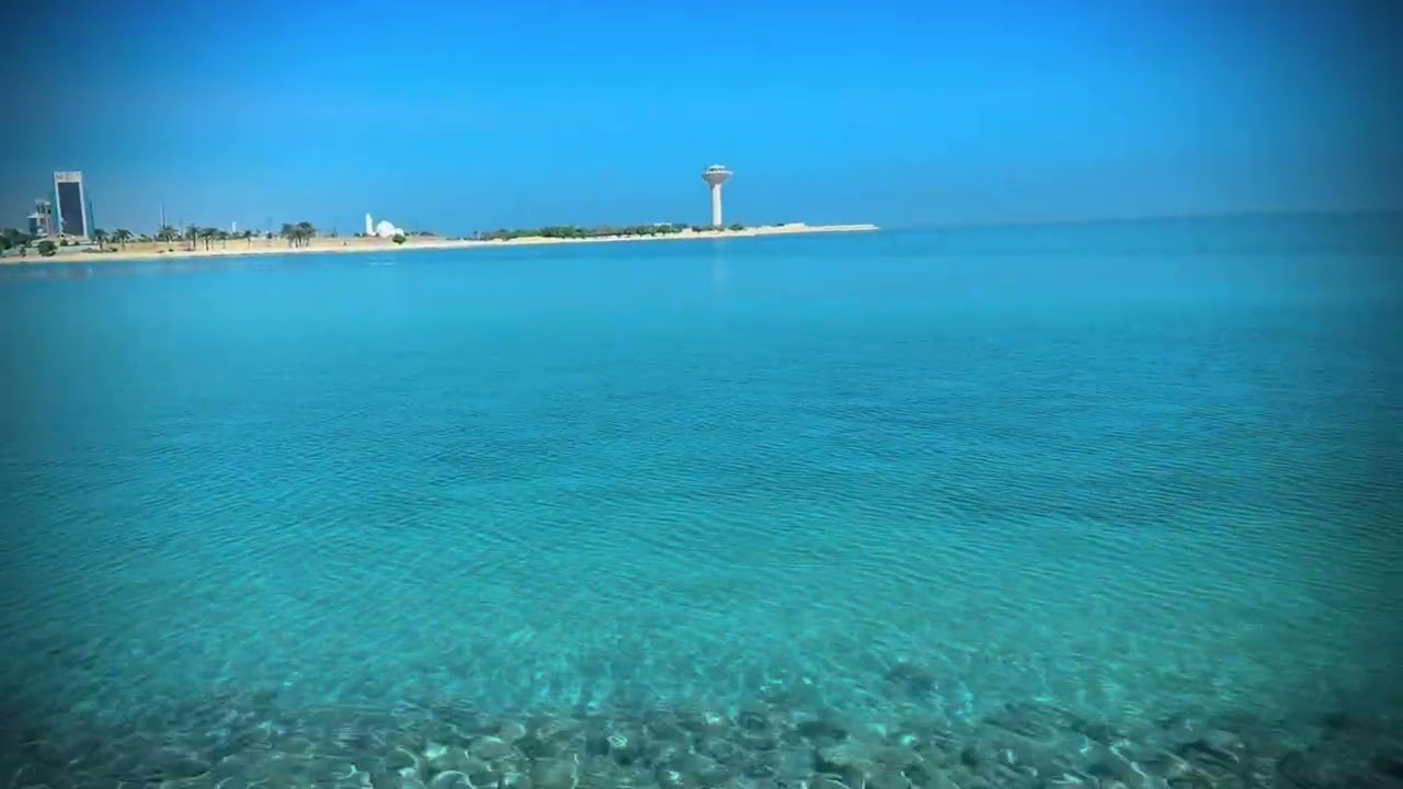 #followforfollowback