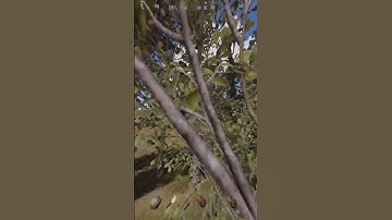 how to get two tommy kits fast in rust #shorts