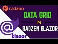 How to use radzen blazor datagrid