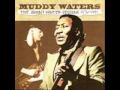 Muddy Waters Johnny Winter Baby Please Dont Go mp3