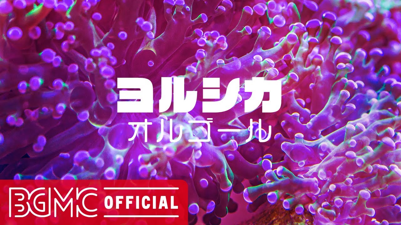 ヨルシカ オルゴール音源 花人局/ヨルシカ【オルゴール】 - YouTube