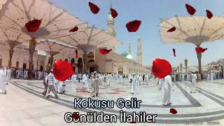 Ağlaya Ağlaya İçime Çektim