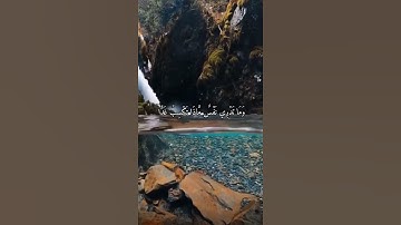 واتس اب قران كريم القارئ عبد العزيز العسيري (سوره لقمان)