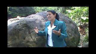 Solo Quiero Adorarte Hoy - Reyna Trujillo