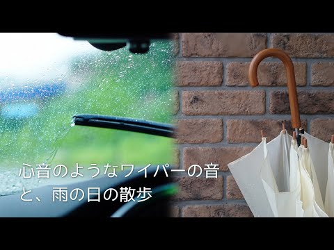 ASMR ? 車内にて ささやき ☔️ ワイパーと雨の音 Relaxing Wiper & Rain Sound