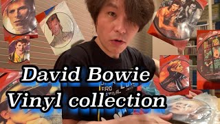 【DAVID BOWIE】 VINYL COLLECTION ピクチャーレコードコレクション