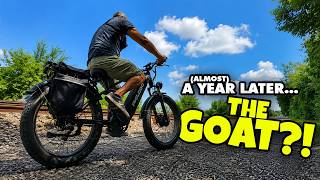 Philodo Falcon (Almost) One Year Follow Up - The GOAT of Ebikes?