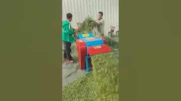 Multifunctional crushing and kneading all-in-one machine