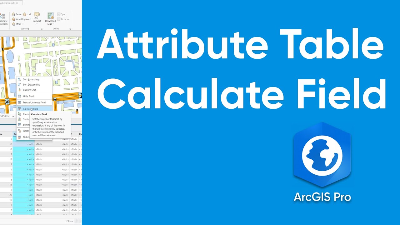 021 ArcGIS Pro Tutorial: Attribute Calculate Field - YouTube