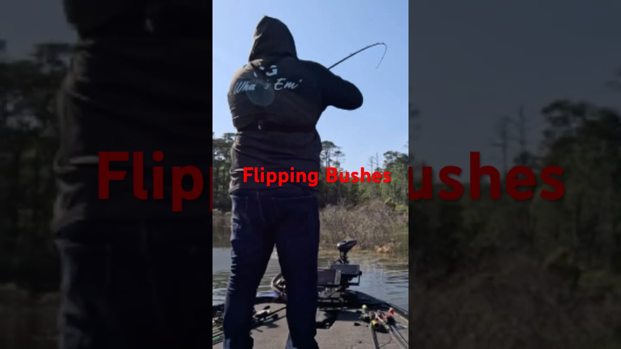 ''Bush Bass Explosion! You Won't Believe This Strike! 