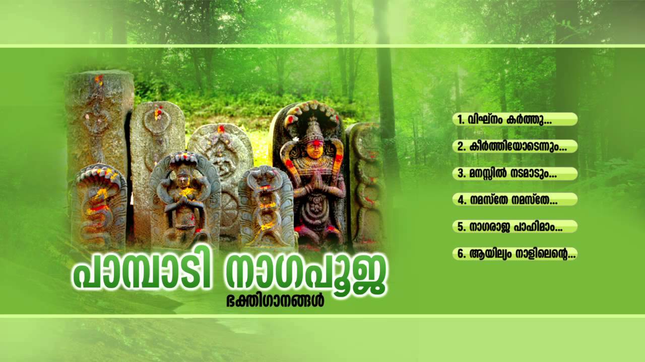 പാമ്പാടി നാഗപൂജ | Pambadi Nagapooja | Naga Raja Devotional Songs Malayalam | Ganesh Sundaram
