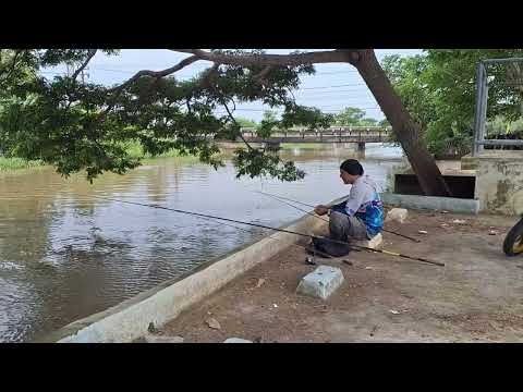 LAGU SANTAI ENAK BANGET BUAT TEMAN MANCING🔥MUSIK REGGAE SLOW VIRAL