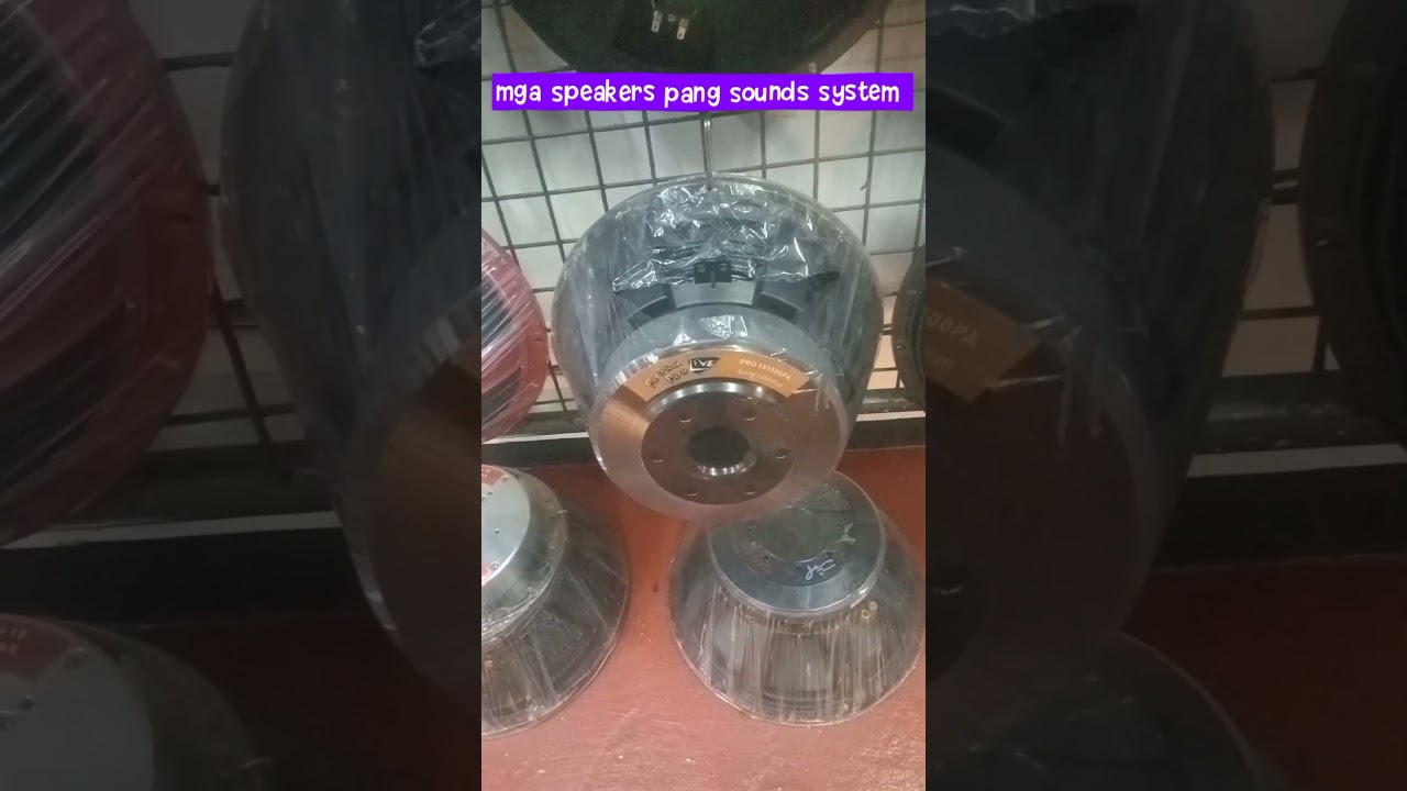 Speaker for sounds system setup MANILA RAON 