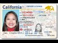 Real ID Members can go to AAA office instead of DMV
